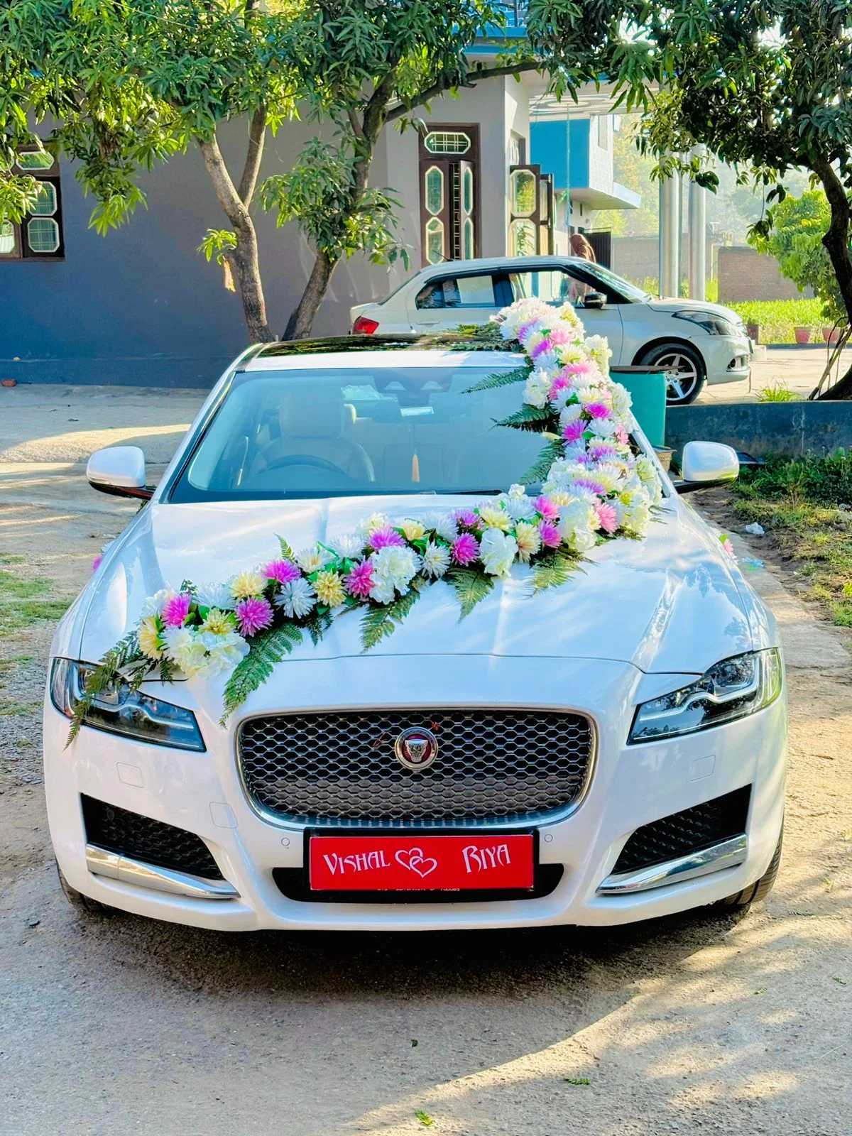 Jaguar